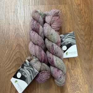 Pascuali Balayage Yarn x2 skeins